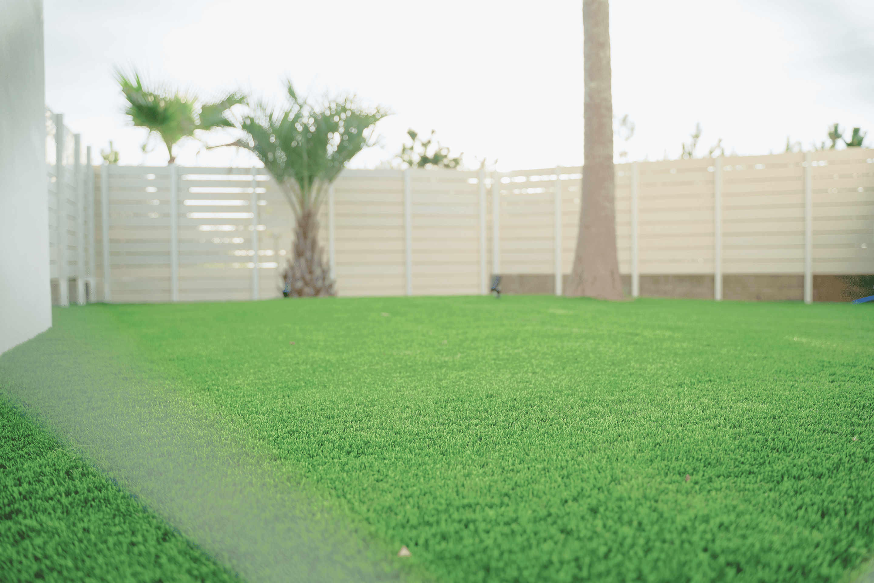 ドッグランの写真