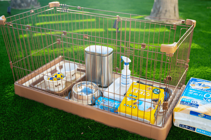 ドッグランの写真