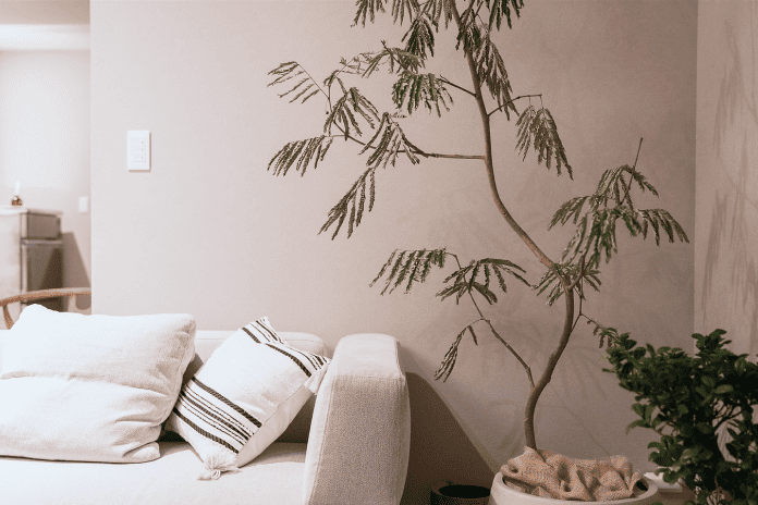 リビングの写真